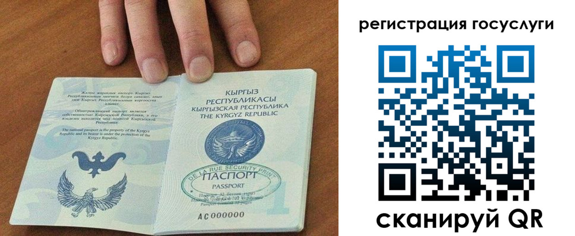 прописка ребенка в Ногинске